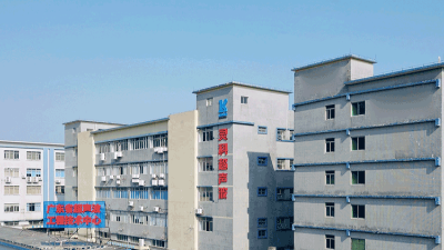 靈科超聲波：共舞職場(chǎng)新生態(tài)，賦能員工價(jià)值成長(zhǎng)