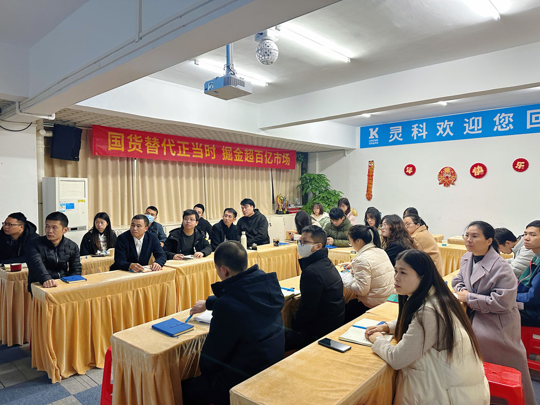 國(guó)貨替代，掘金2024丨靈科超聲波營(yíng)銷總結(jié)規(guī)劃會(huì)議順利召開(kāi)